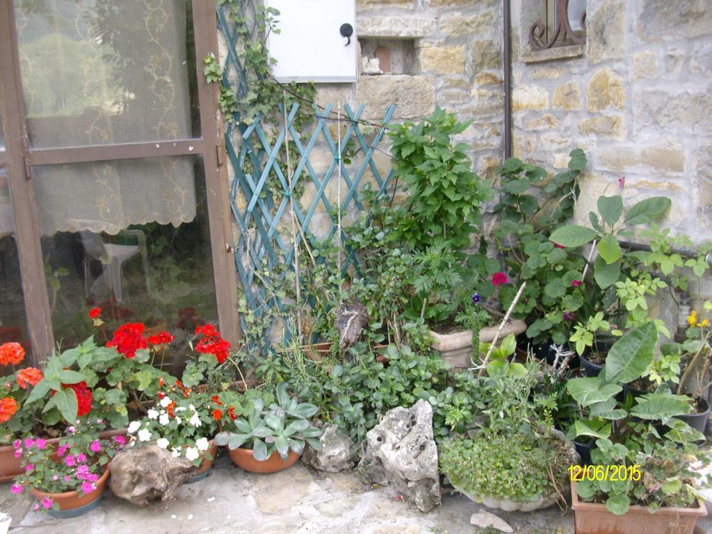 B&B San Nicola Serramazzoni Dış mekan fotoğraf
