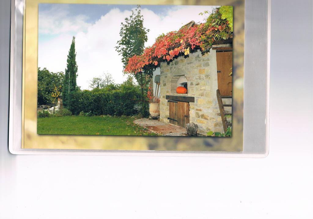 B&B San Nicola Serramazzoni Dış mekan fotoğraf