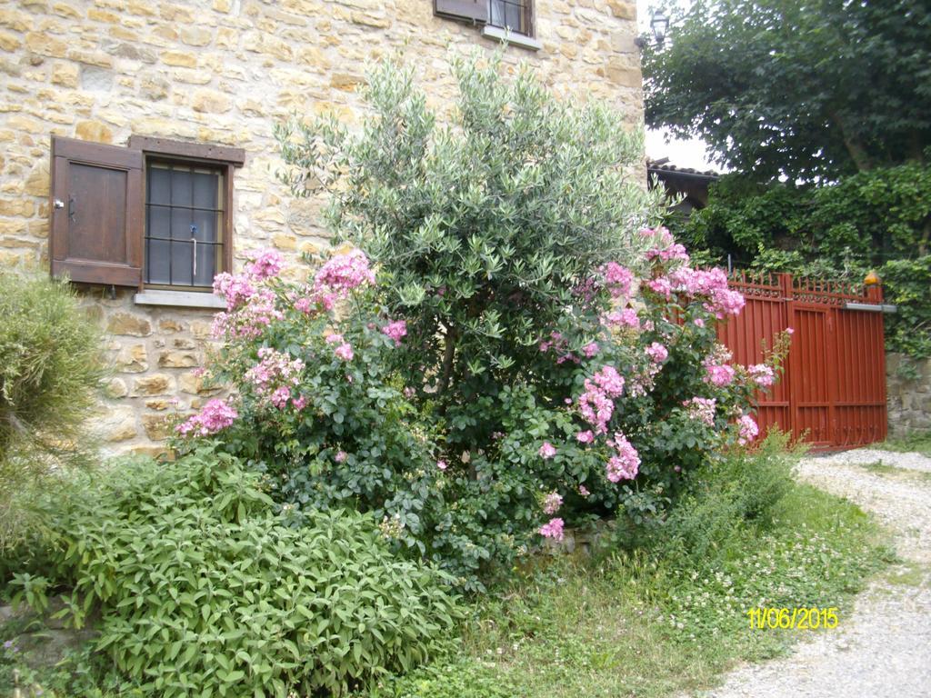 B&B San Nicola Serramazzoni Dış mekan fotoğraf