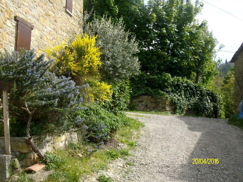 B&B San Nicola Serramazzoni Dış mekan fotoğraf