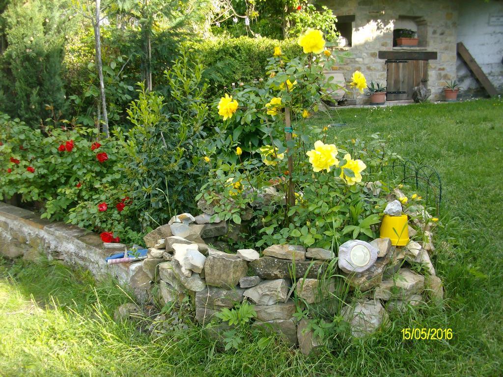 B&B San Nicola Serramazzoni Dış mekan fotoğraf